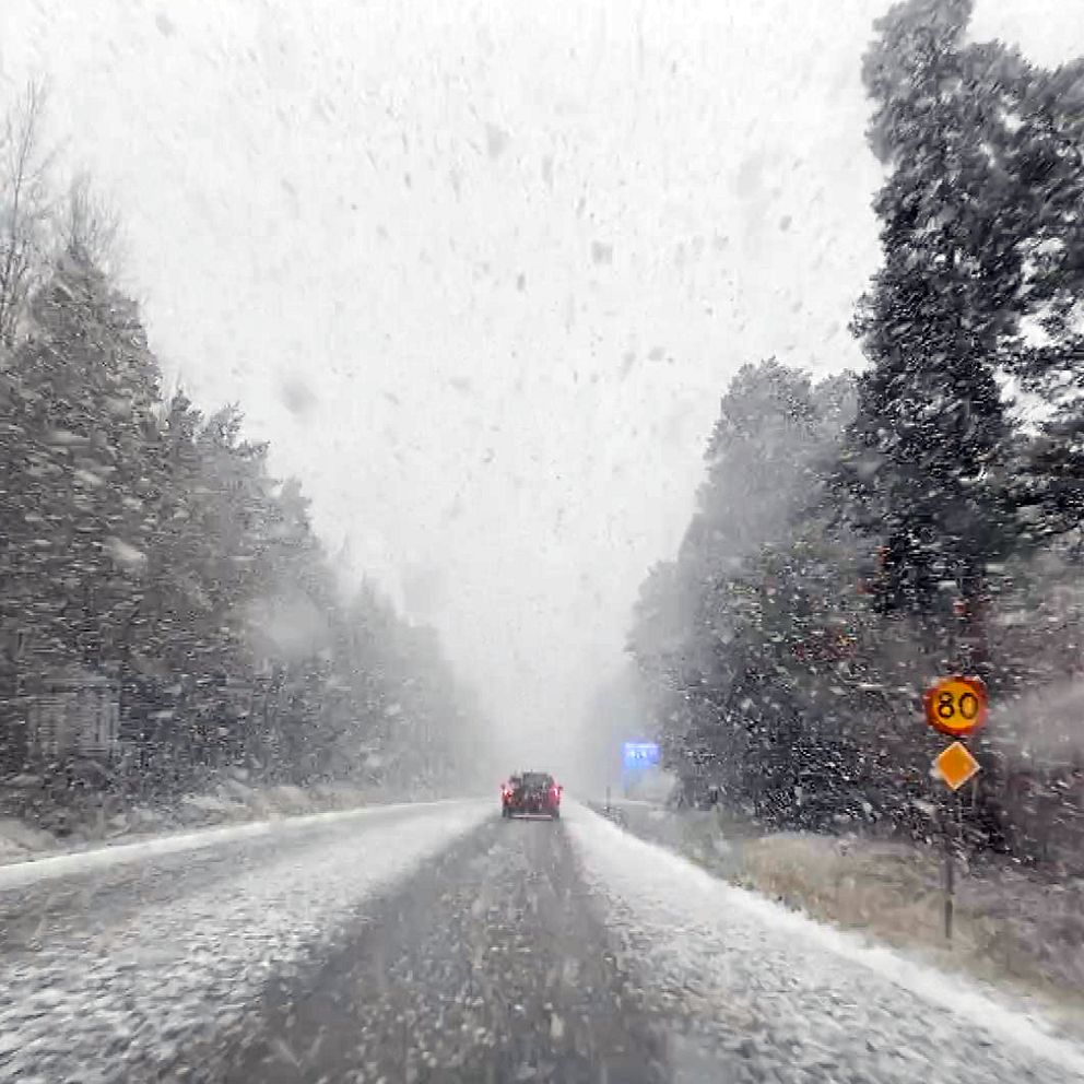 Kraftig snöfall på en landsväg med träd på båda sidor. En bil färdas framåt när sikten är kraftigt begränsad av snön. Vägskyltar syns, inklusive en hastighetsgräns på 80 km/h och en varningsskylt.
