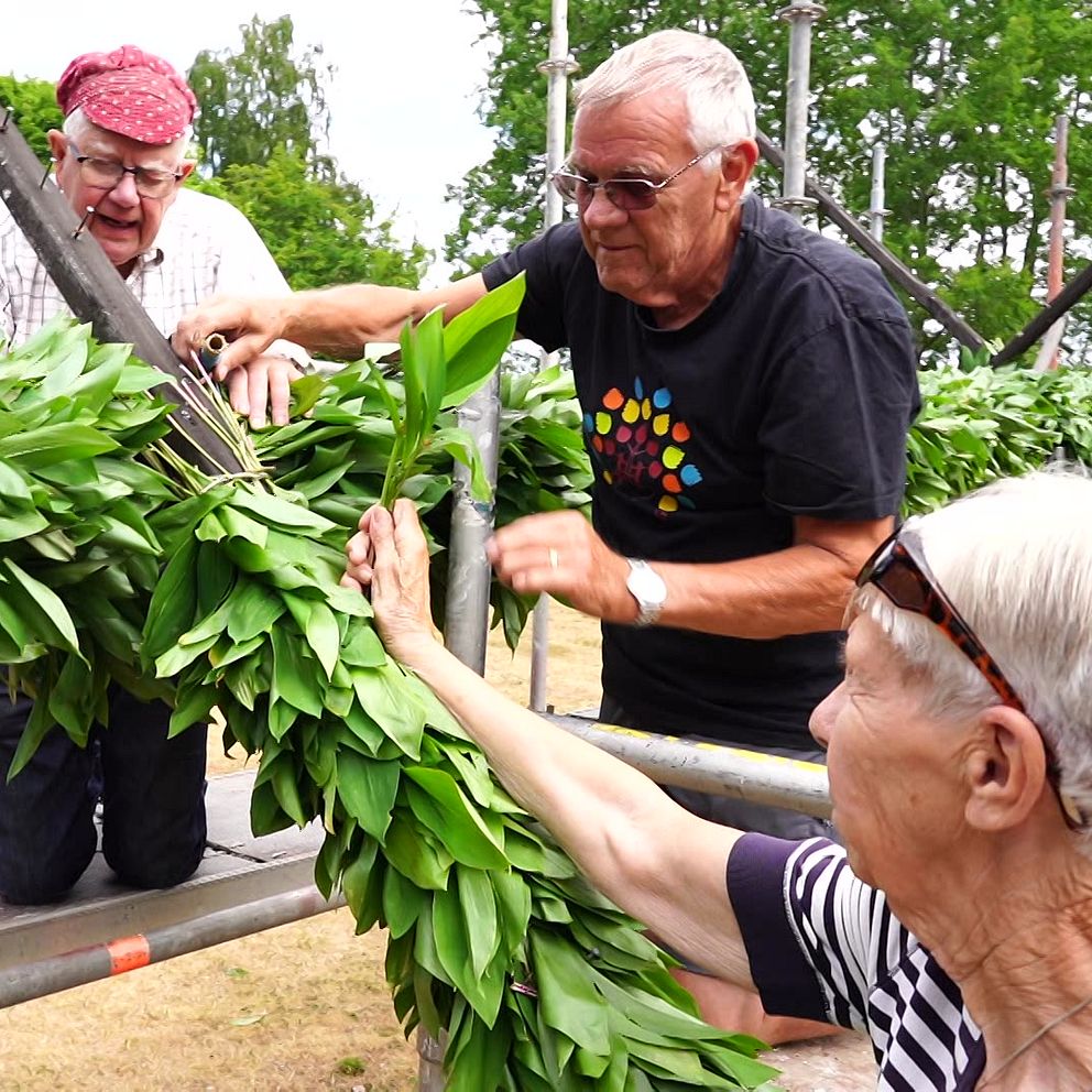 Äldre klär en midsommarstång