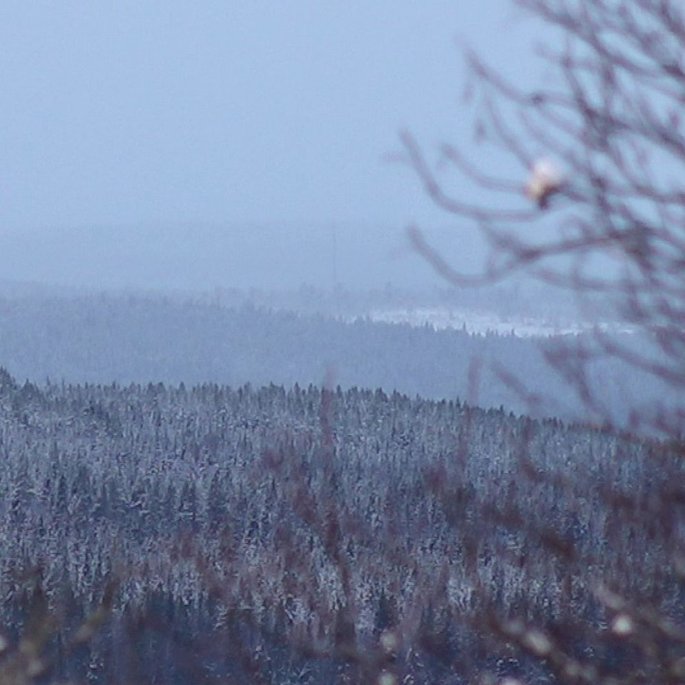 Utsikt över snötäckta skogar i en vintrig landskap med dimma som döljer avlägsna berg och träd.