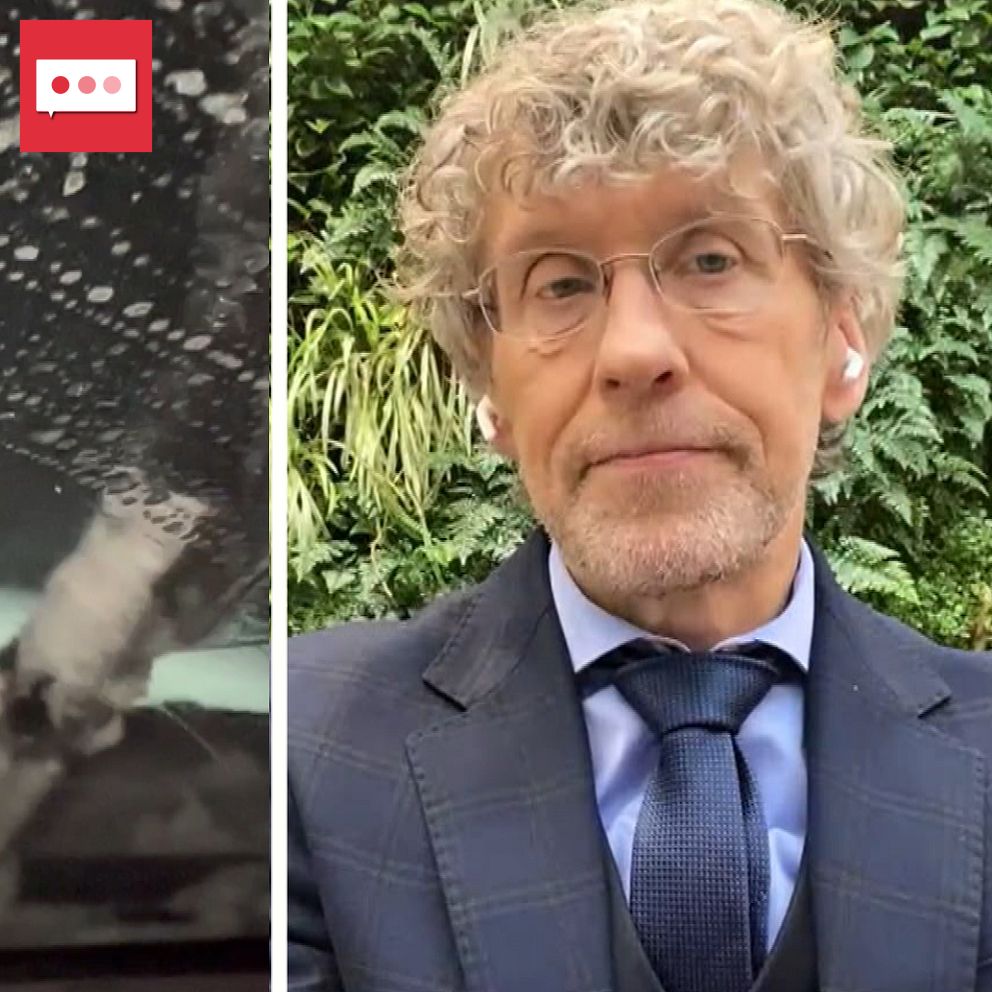 Delad bild: Vänster sektion visar en bils vindruta täckt av blötsnö och is där en vindrutetorkare håller på att rengöra ytan. Höger sektion visar meteorologen Pererik Åberg.