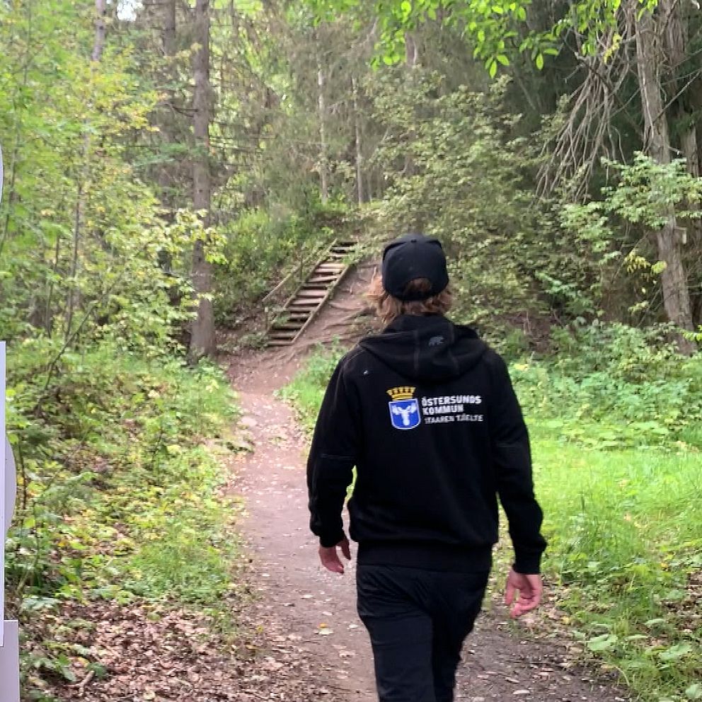 Traskar på stig i skogen
