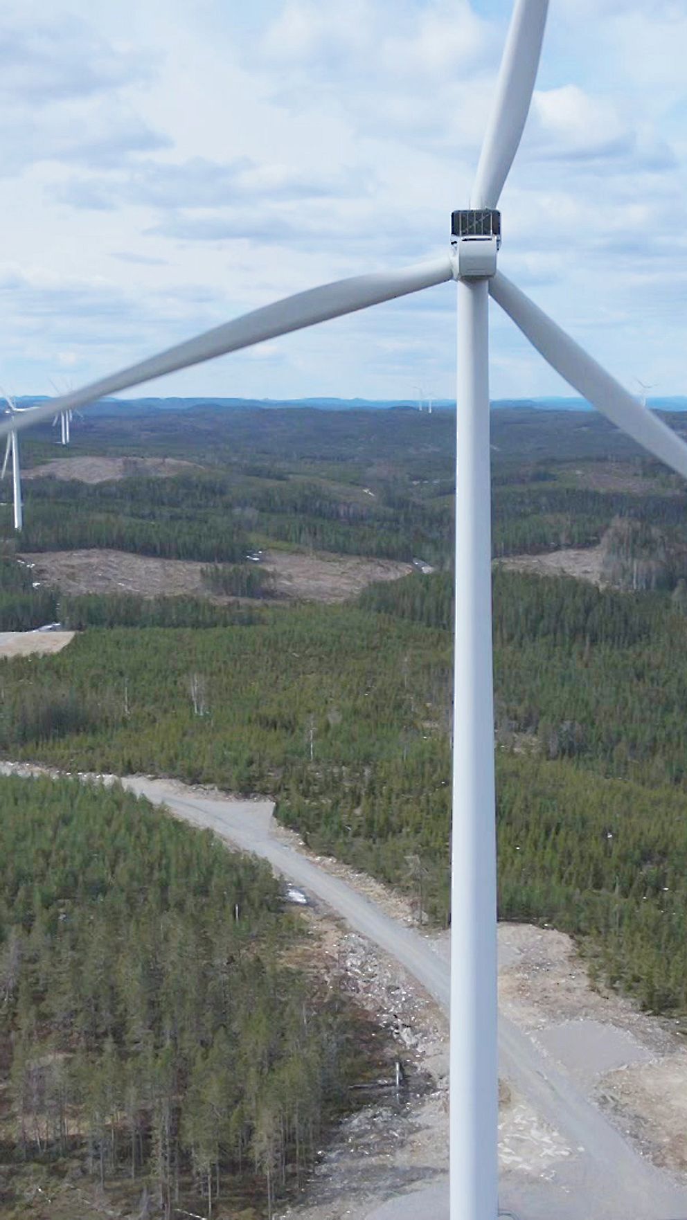 Vindkraftverk över skogslandskap