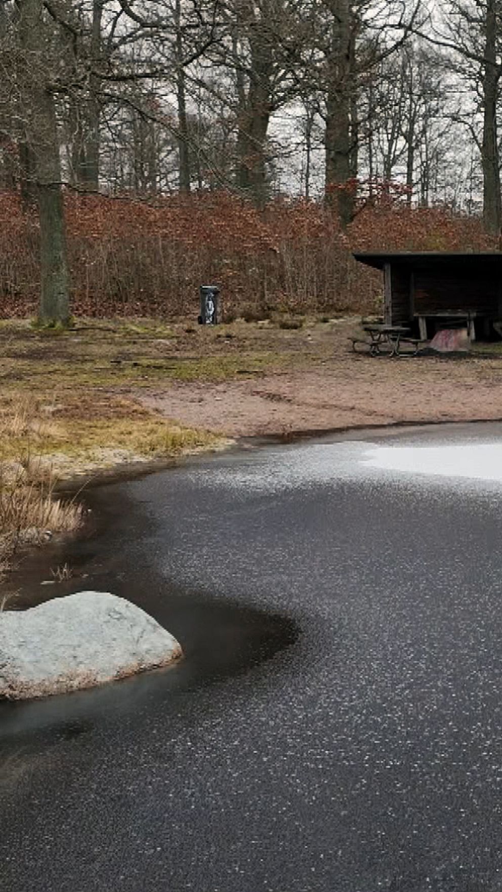 Delad bild: Till vänster, en frusen sjö med stenar i förgrunden och ett träskjul omgivet av skog i bakgrunden. Till höger, en person i mörka kläder gestikulerar utomhus.