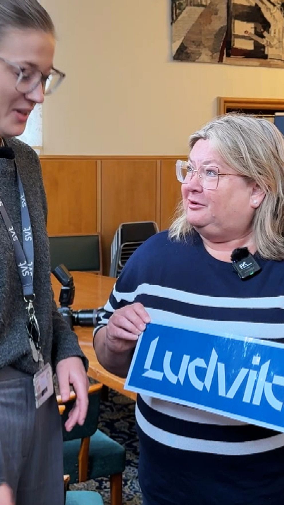 En kvarts miljon för ny logga i Ludvika: ”Ser knappt vad det står ...
