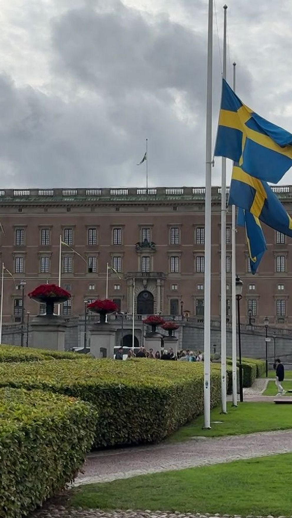 Nyheter från dagen: 28 augusti | SVT Nyheter