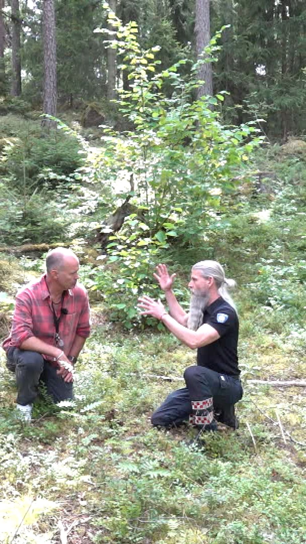 Fredrik Eriksson förklarar skogsbrandrisk i torr skog