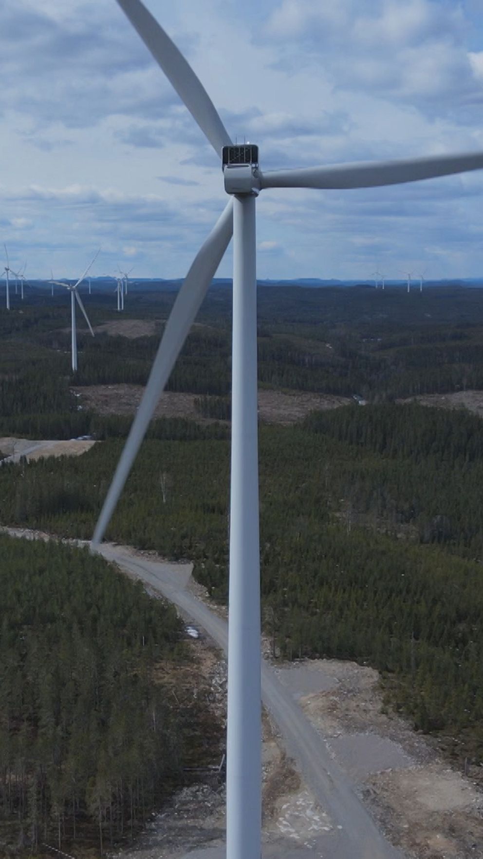 Storskalig vindkraftpark med flera vindkraftverk i en skogig terräng, omgivet av öppna fält och en väg som leder genom området.