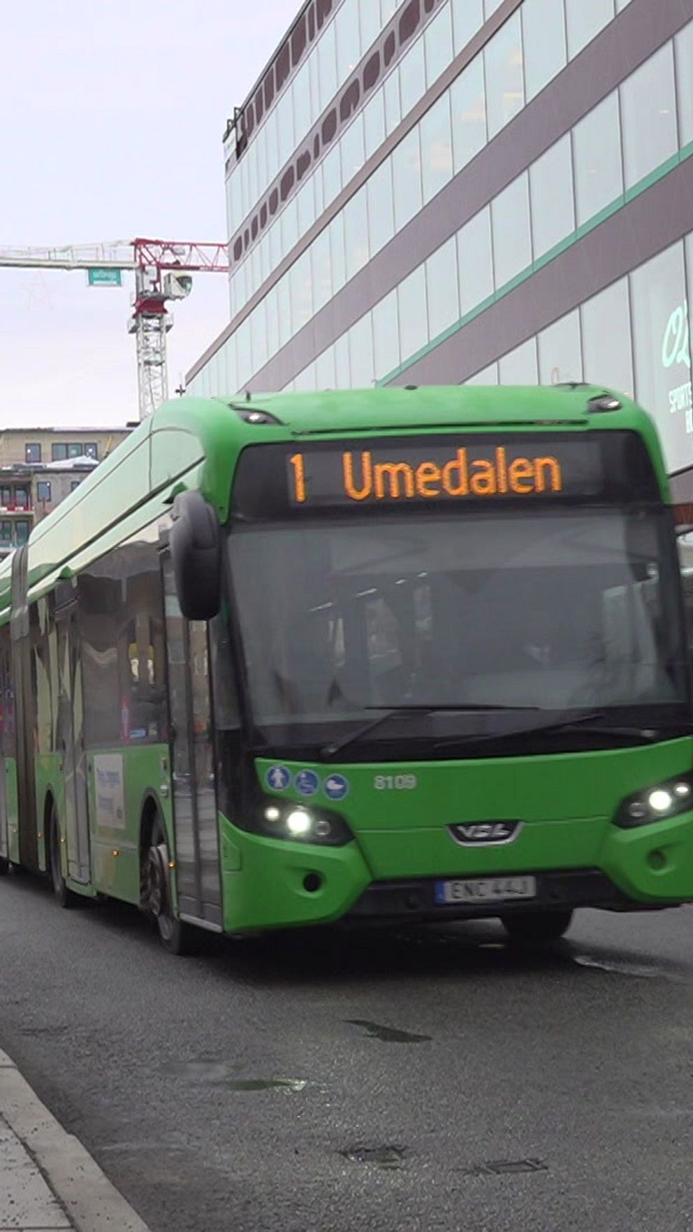 Grön buss med destination ”Umedalen” kör på en gata i stadsmiljö, med passagerare och en modern byggnad i bakgrunden. Det syns även en busshållplats och en byggkran i distansen.