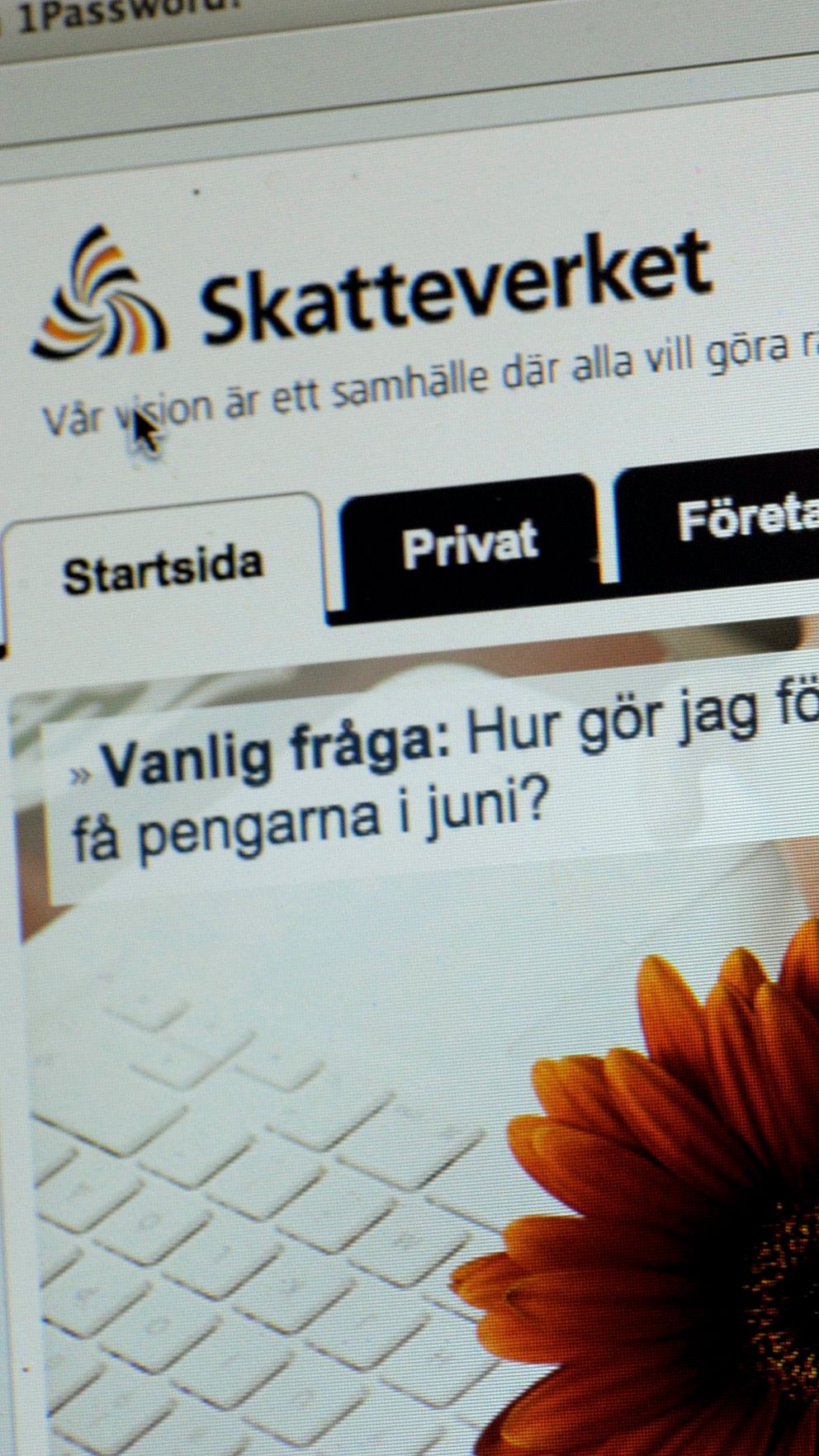 Skärmbild av Skatteverkets hemsida med en rubrik om att e-deklarera samt en knapp för att e-deklarera. Det finns också en sektion där en vanlig fråga ställs: ”Hur gör jag för att få pengarna i juni?” med en bild av en blomma bredvid tangentbord.