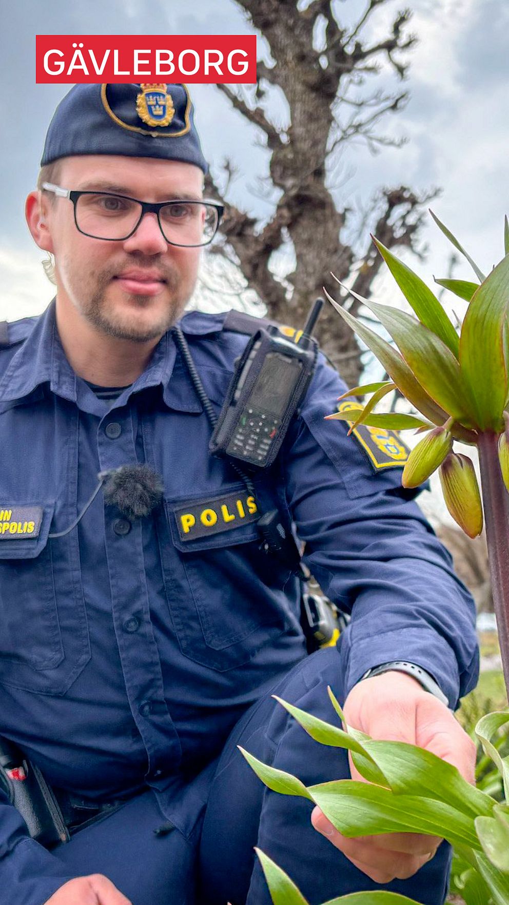 Polisen i Söderhamn vid blomman som luktar cannabis.