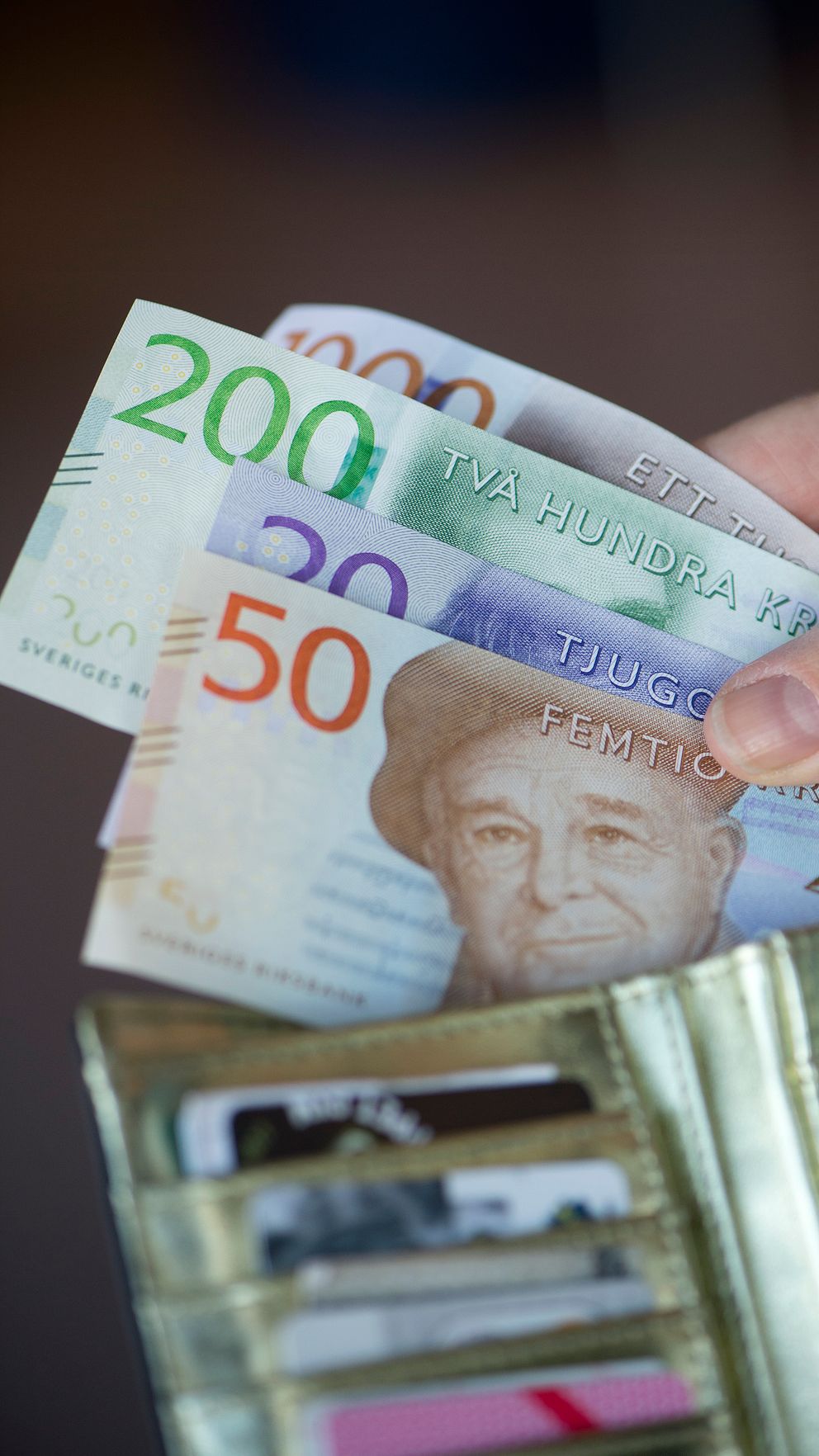 Pengar i plånbok och kreditkort