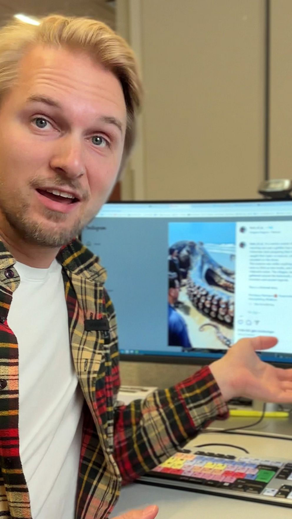 En person visar en bild av en stor bläckfisk på en datorskärm, medan en annan bild på skärmen visar mer av samma bläckfisk. Till höger syns bläckfisken som ligger på en strand, omgiven av en grupp människor som observerar den.