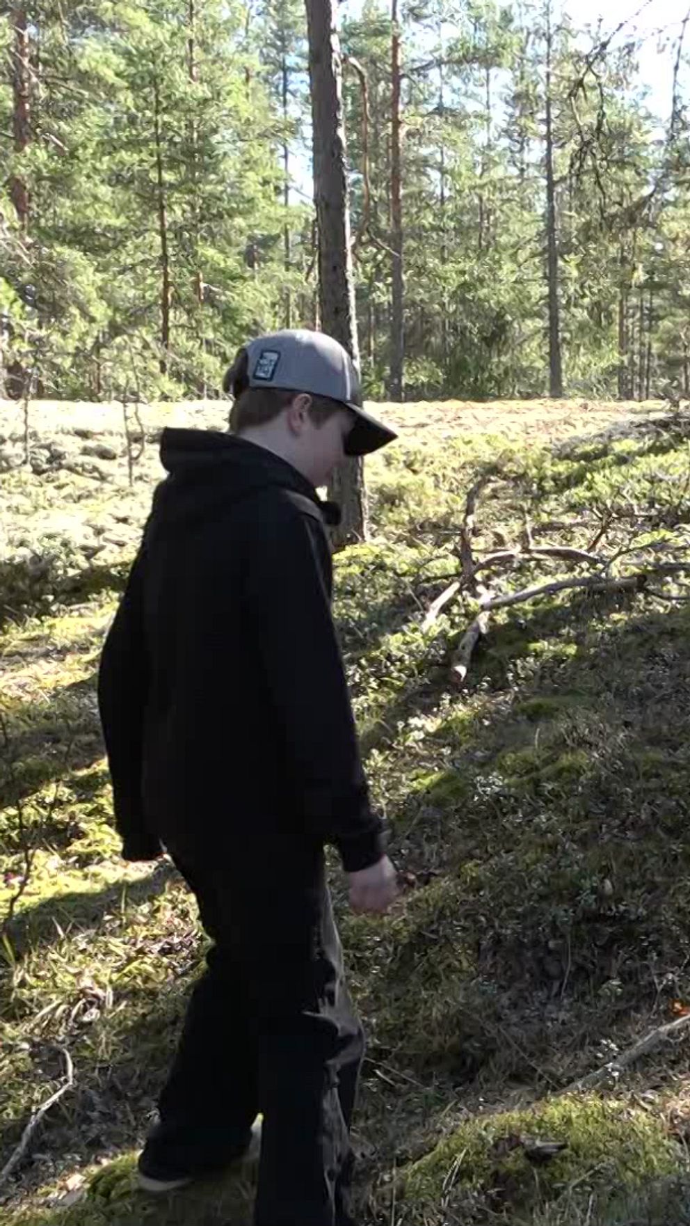 Delad bild. Till vänster syns en pojke som går i skogen och letar efter något. Till höger syns samma pojke med en sköldpadda i handen.