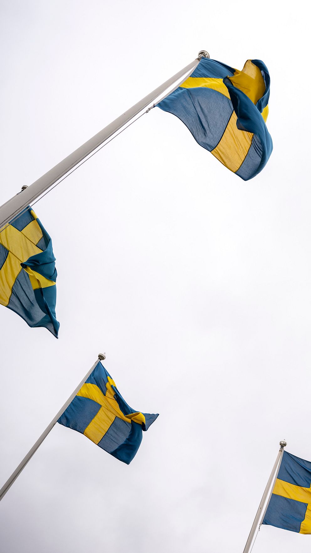 Svenska flaggan