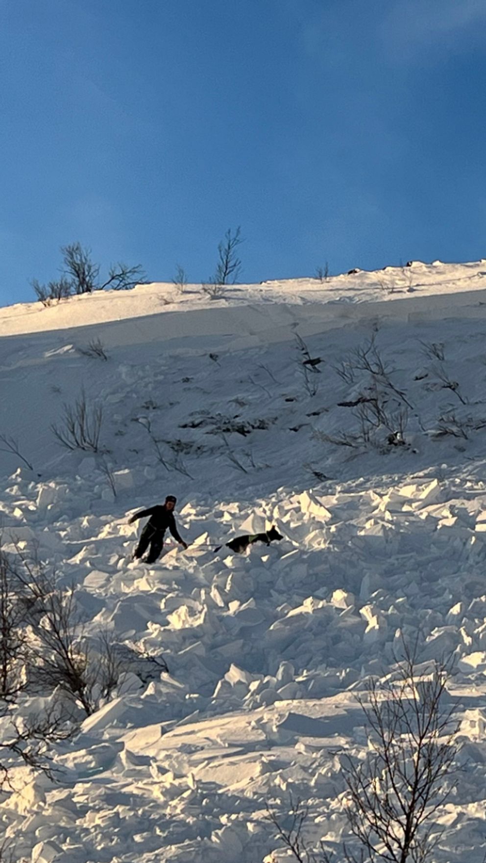 Lavin som gått i Bydalen.