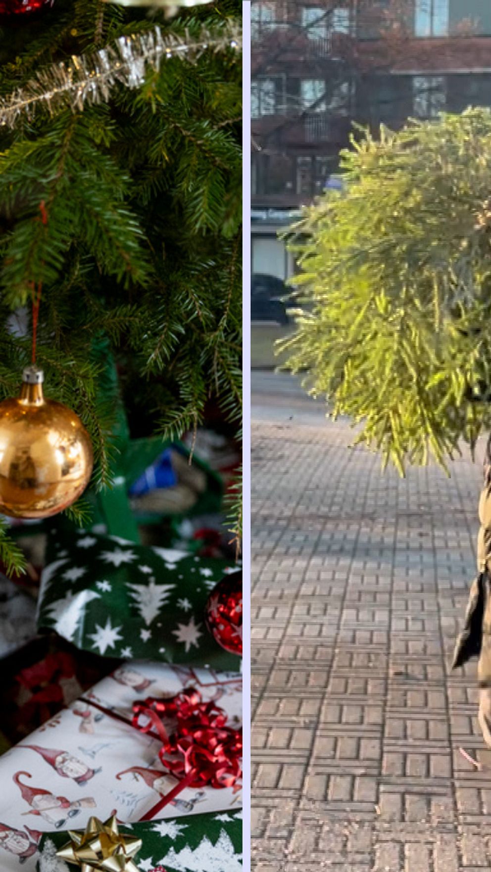 En delad bild som visar tre olika scener: till vänster en julgran dekorerad med en gyllene julgranskula och inslagna julklappar i underkant, i mitten en reporter som bär en stor gran genom en stadsmiljö, och till höger Marie Wickberg från Mellanskog, som står i profil och bär en skjorta med broderad text.