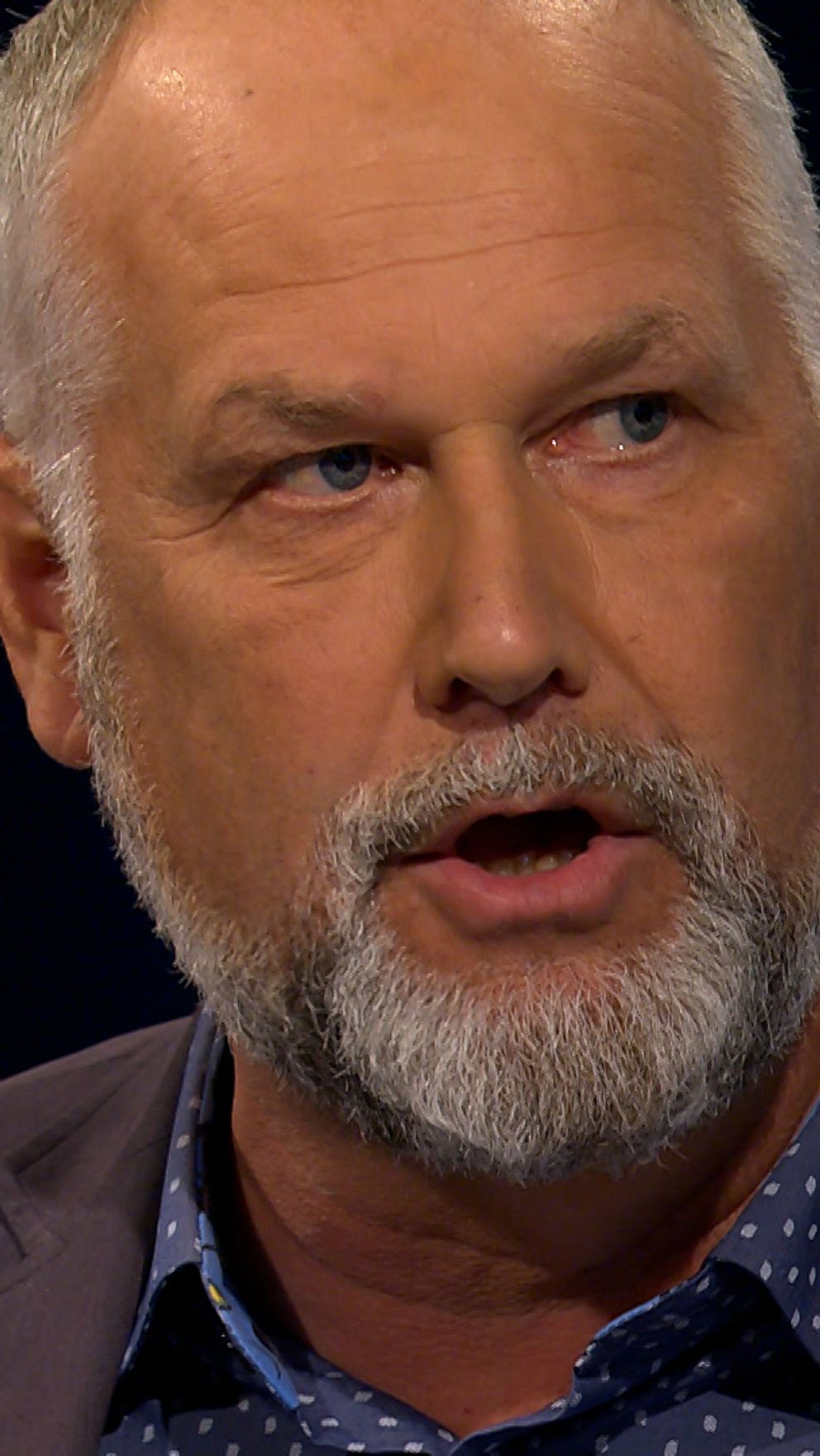 Jonas Sjöstedt (V).