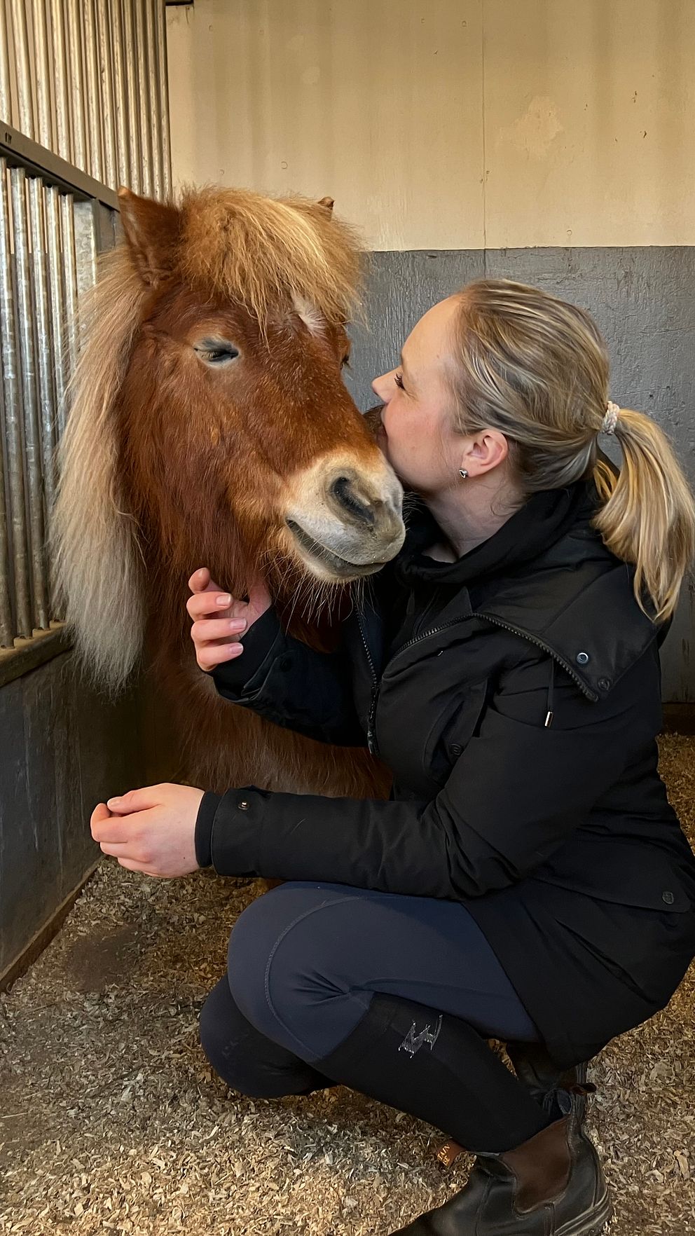 Kvinna i mörka kläder kramar en shetlandsponny i häststall.