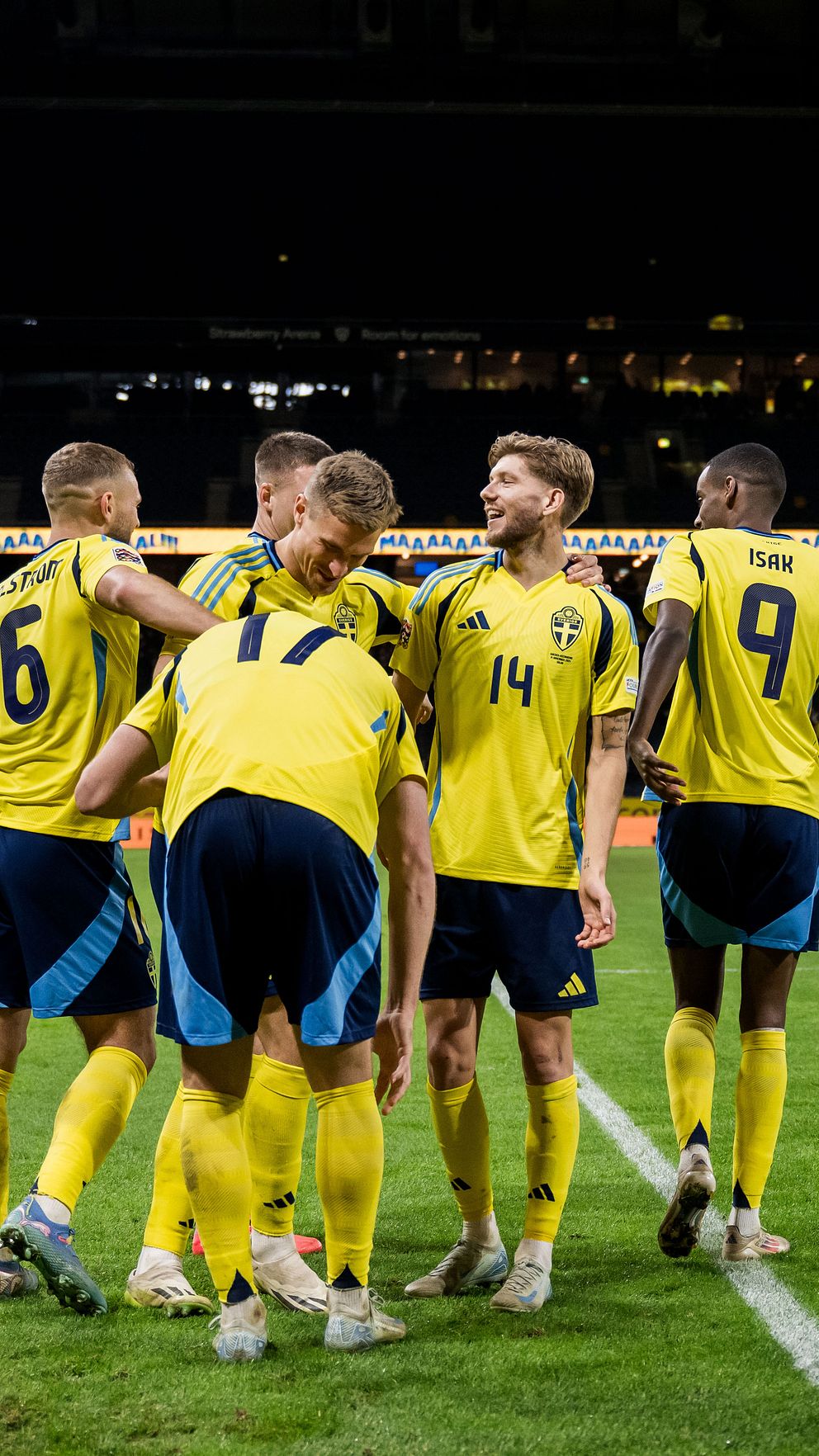 Herrlandslaget i fotboll