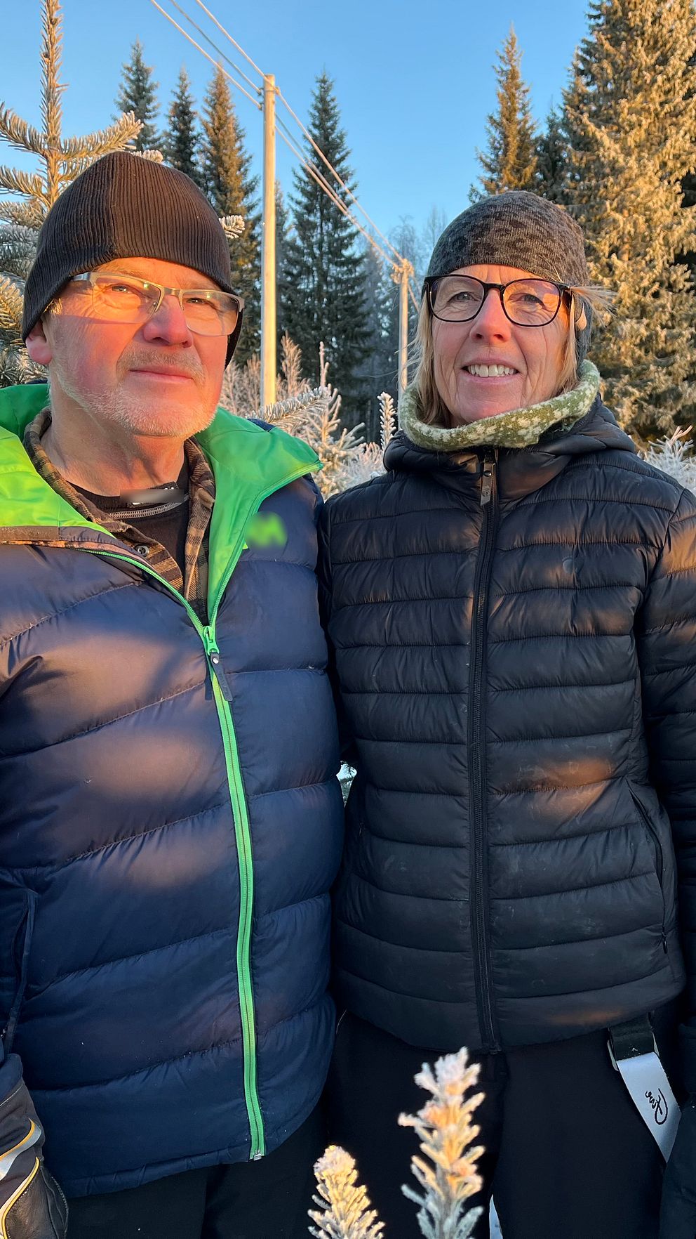 Nils-Henrik Vallinder och Maria Åslund står i sin julgransodling. Det är frostnupna granar runt omkring