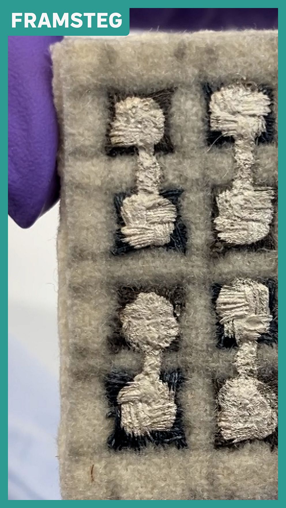 Detalj av ett material med broderade former i fyra sektioner, som visar stiliserade figurer i ljus och mörk färg. Materialet hålls i en hand med en lila handske. Över bilden finns texten ”FRAMSTEG”.