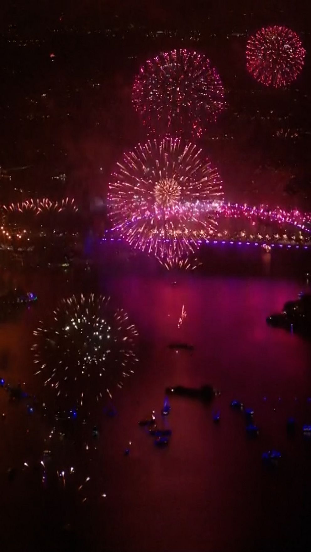 Fyrverkerier exploderar i en färgsprakande uppvisning över Sydney Harbour, med en utsikt som visar både stadens ljus och den reflekterande vattenspegeln.
