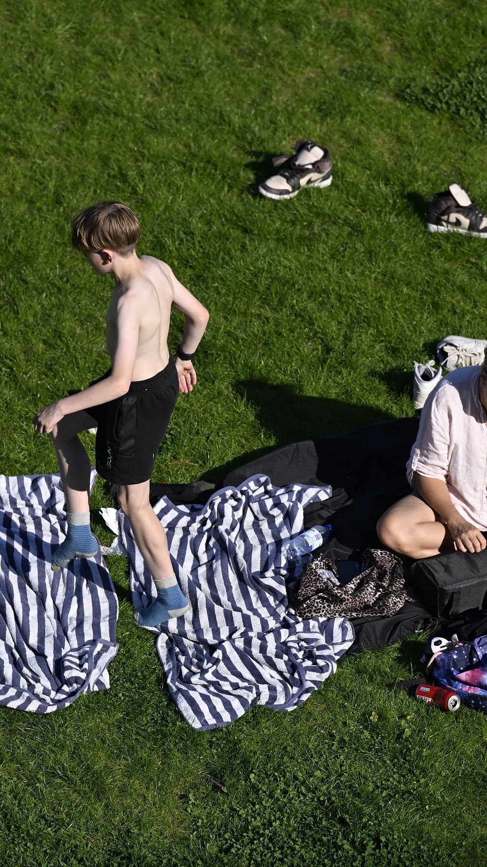 Picknickande familj på en grön gräsmatta på sommaren i Stockholm.