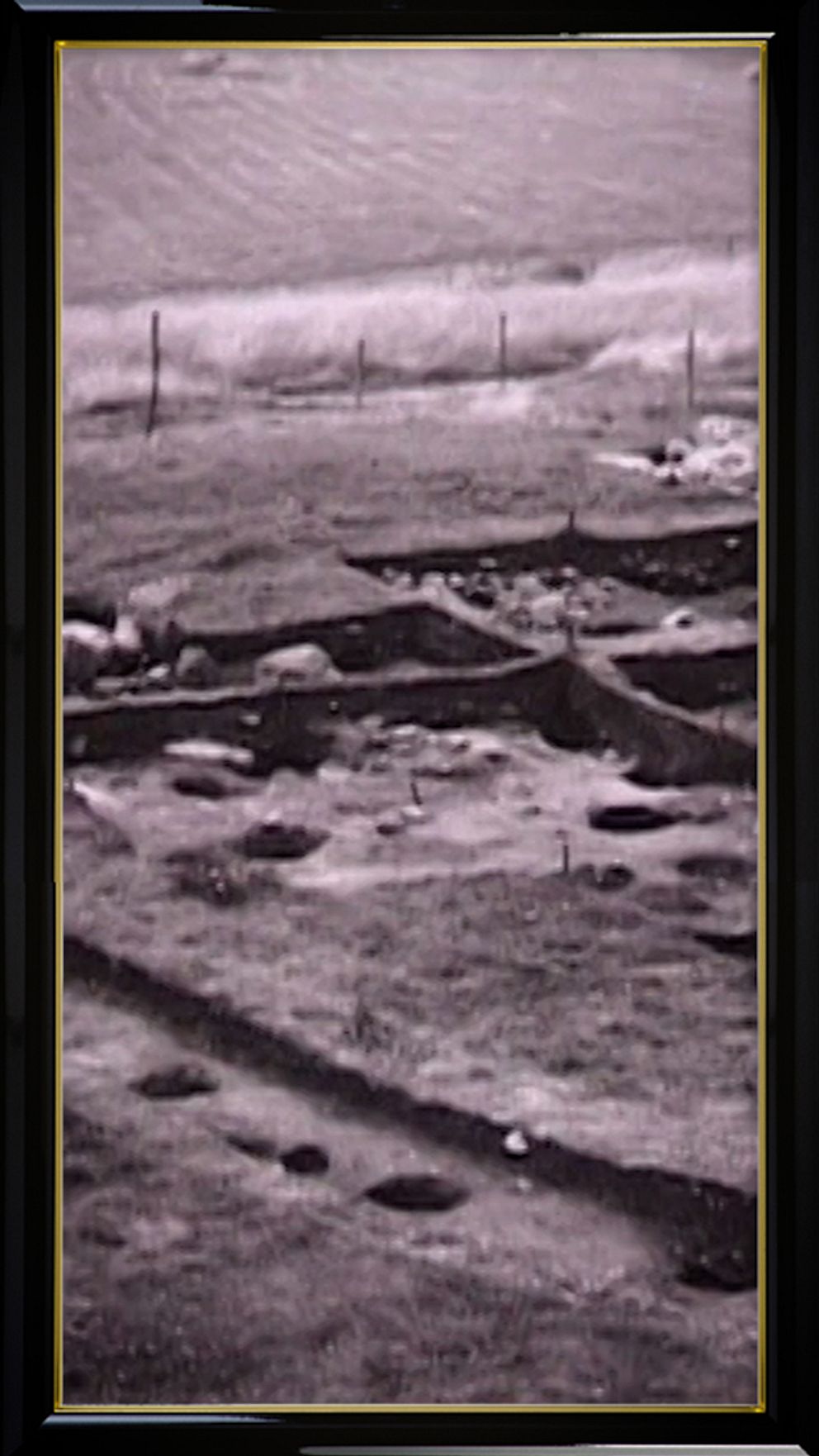 svartvitt Bild på vikingstaden birka