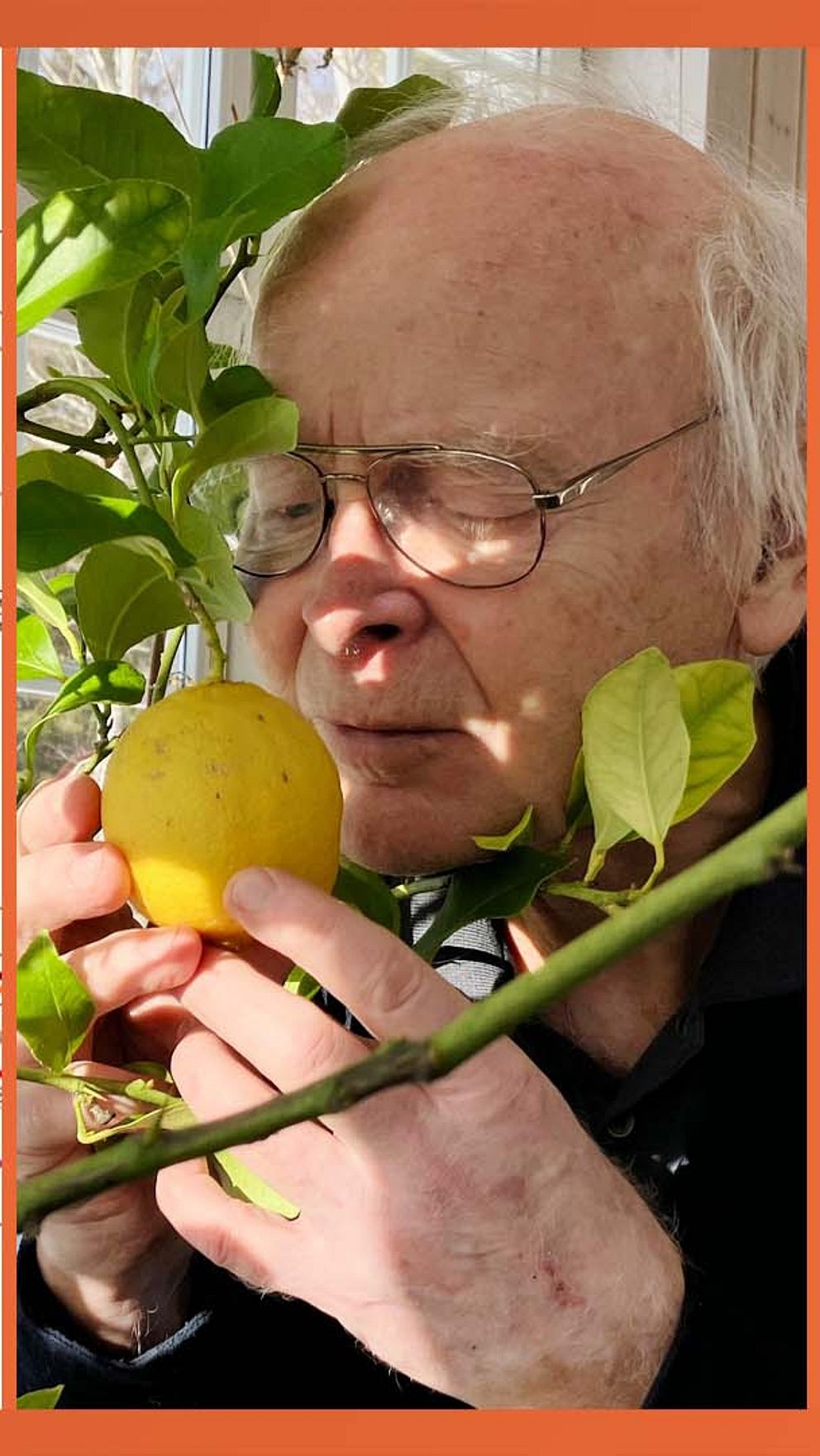 Tredelad bild. Till vänster: ritning av en byggnad. I mitten: man håller en citron. Till höger: man vid en stor vit behållare.