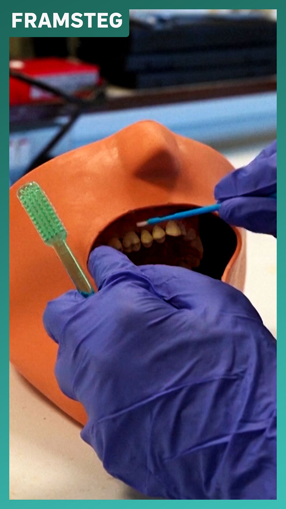 Keratin från fårull testas på tandmodell för att borsta tänder och laga emalj.