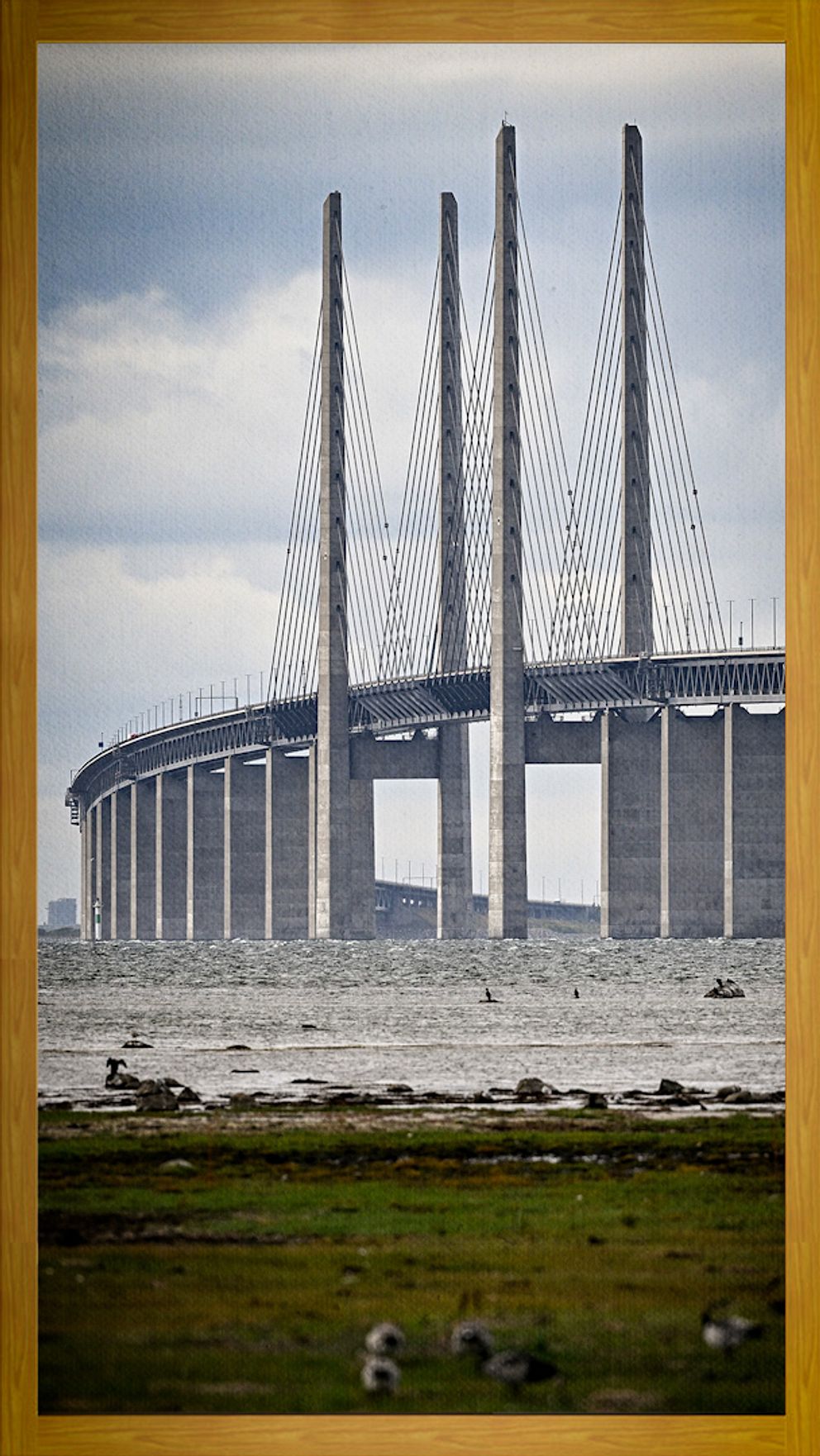 Öresundsbron.