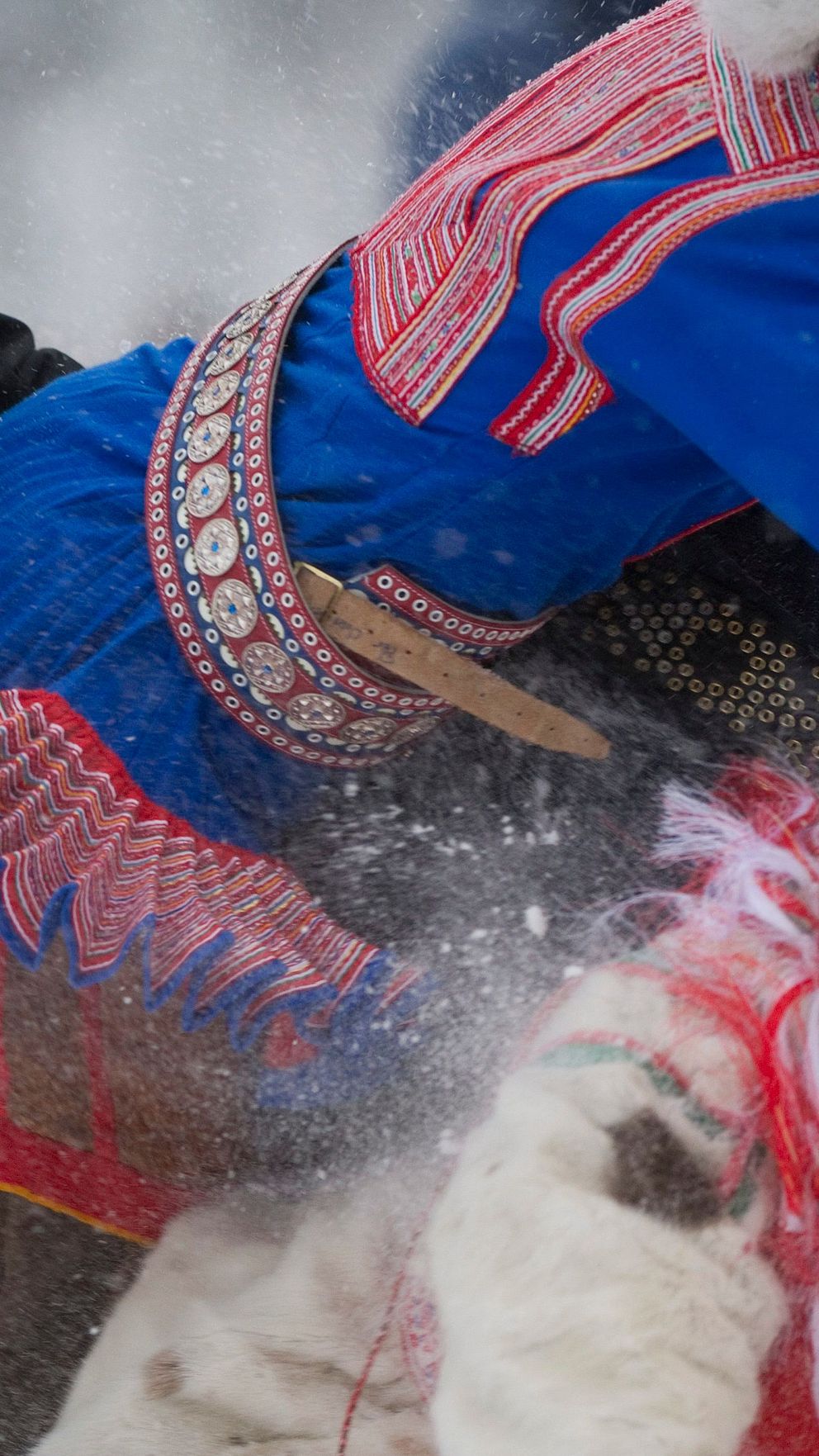 Samisk kvinna i traditionell klädsel deltar i en lek utomhus. Snöyr ger livlig rörelse.