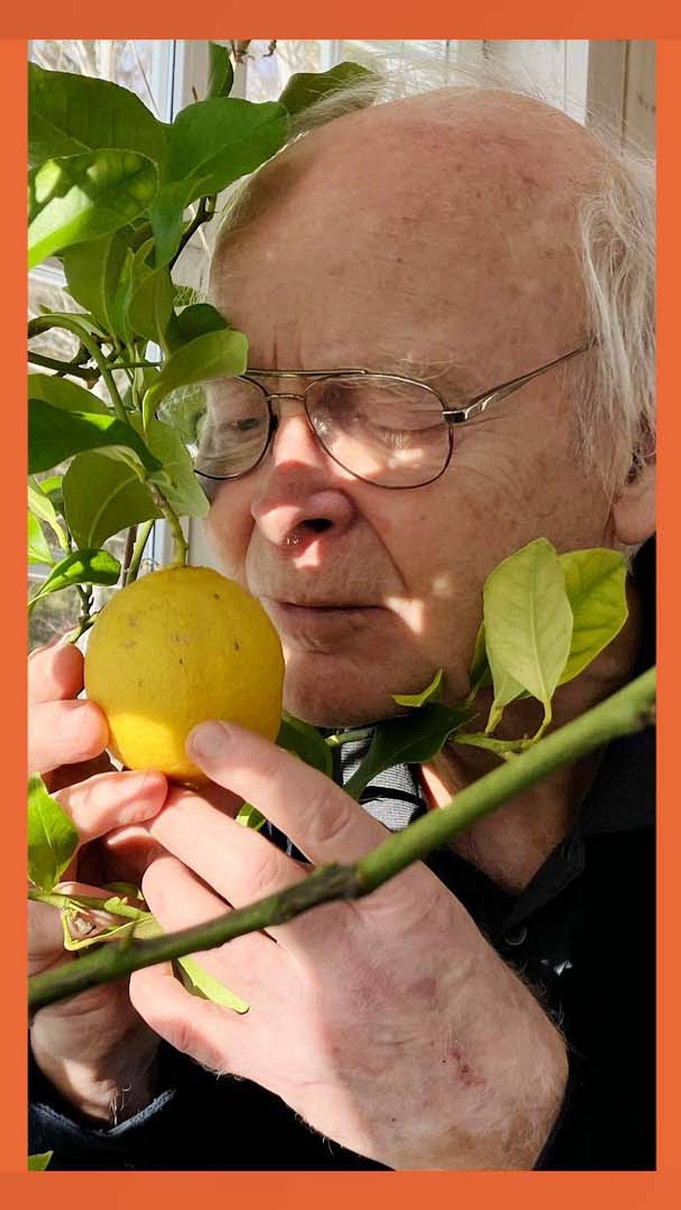 Tredelad bild. Vänster: husritning med värmelösning. Mitten: person med citronkvist. Höger: man vid värmesystem.