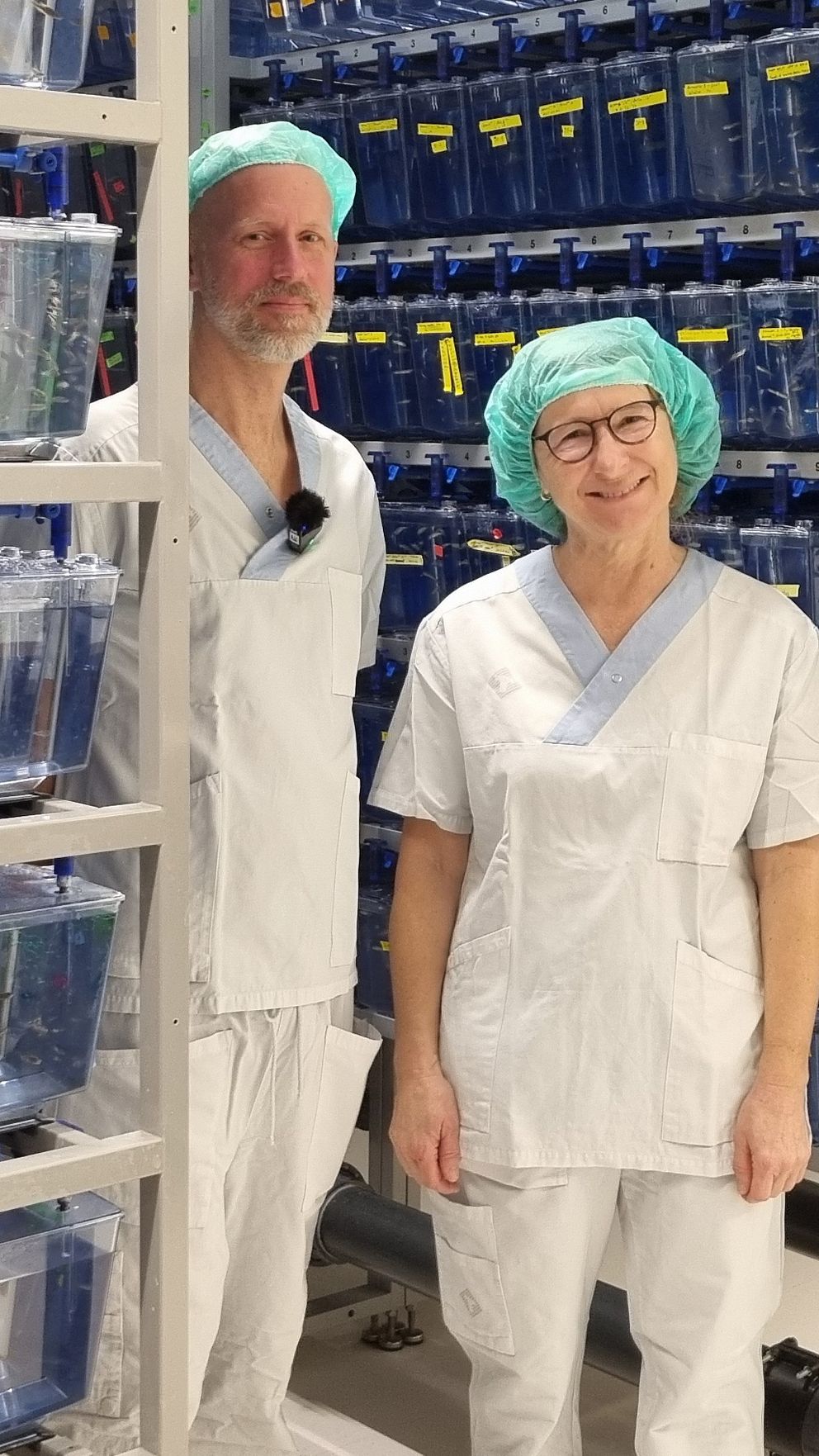 zebrafiskar som man forskar på med hjälp av gensaxen, dosenten Jonas von Hofsten och professorn Fatima Pedrosa Domellöf