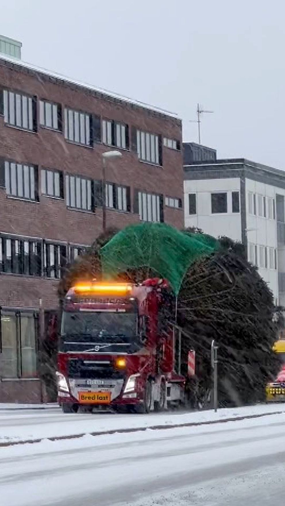 En lastbil transporterar en stor, grön gran på en snöig gata, med flera byggnader i bakgrunden inklusive en större byggnad med en skylt som säger ”östersundhem”. I bilden syns även en annan bil och trafikljus i bakgrunden, vilket ger en känsla av vinterlandskap och stadsmiljö.