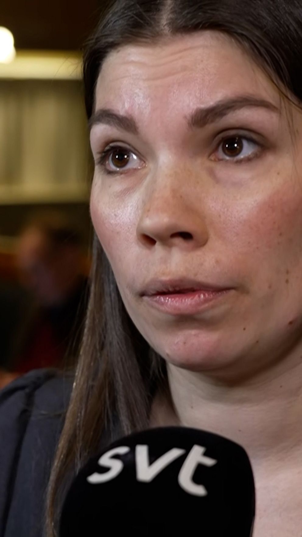 Riksdagen | SVT Nyheter