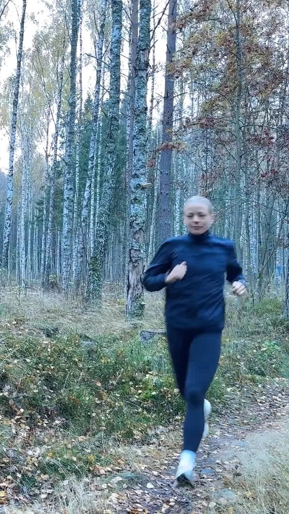 En person joggar längs en stig i en skog med höga träd och höstfärgade löv. Naturen är lugn och omgivningen visar tydliga tecken på höst, med fjärran trädkronor och en grönskande mark.