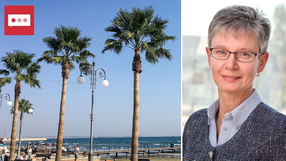 Strand med Palmer och porträttbild av Britt-Marie Hallberg Eriksson, rättslig expert på Skatteverket