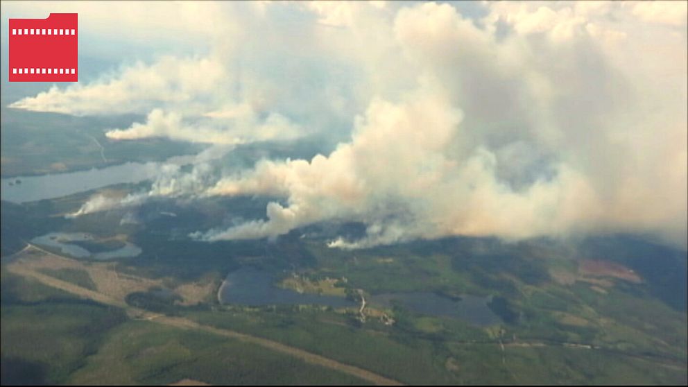Bild från den stora skogsbranden i Trängslet