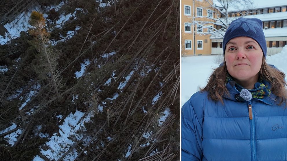 En delad bild som består av två sektioner. Den vänstra sektionen visar en skog med flera nedfallna träd som ligger på snöklädd mark, vilket tyder på en storm eller annan naturkatastrof. Den högra sektionen visar en person klädd i en blå jacka som står utomhus med en byggnad i bakgrunden, vilket indikerar en kall och snöig miljö.