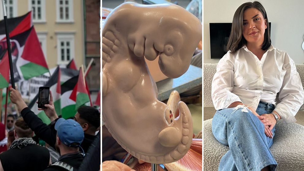 Palestinademonstration, modell av ett foster, porträtt av en kvinna