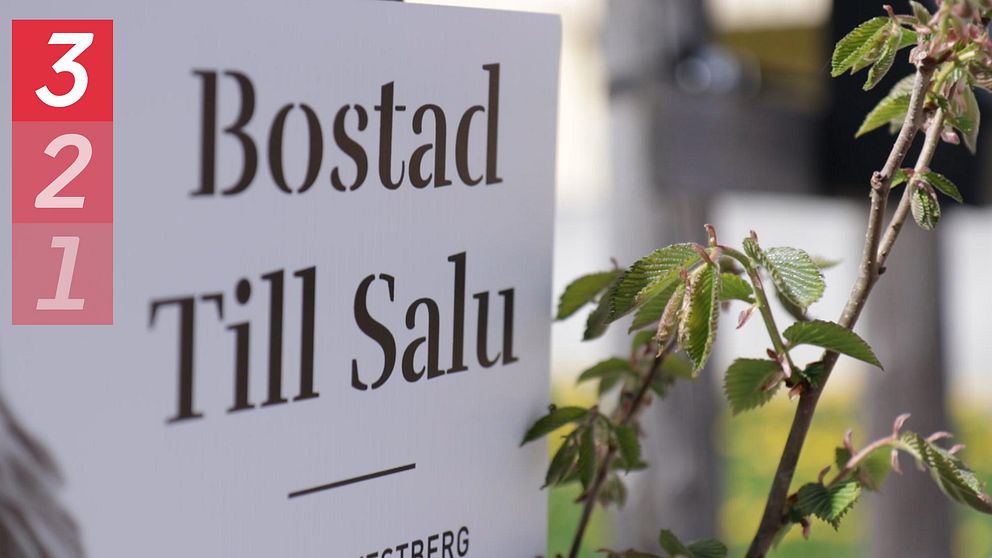 Säljskylt för bostad. På sidan syns en gren med gröna bland