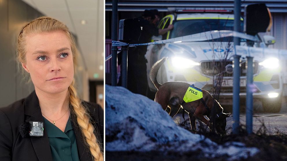 Jessica Kneckt är försvarsadvokat och har håret i en fläta. Til höger letar en polishund i gräset.