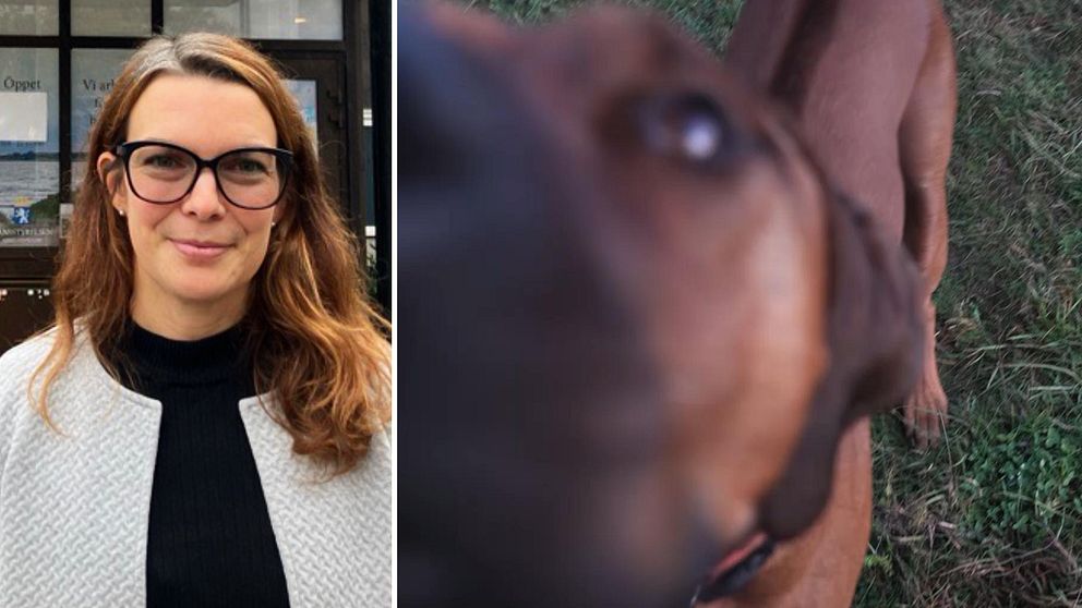Kvinna framför länsstyrelsen i Halland och en hund.