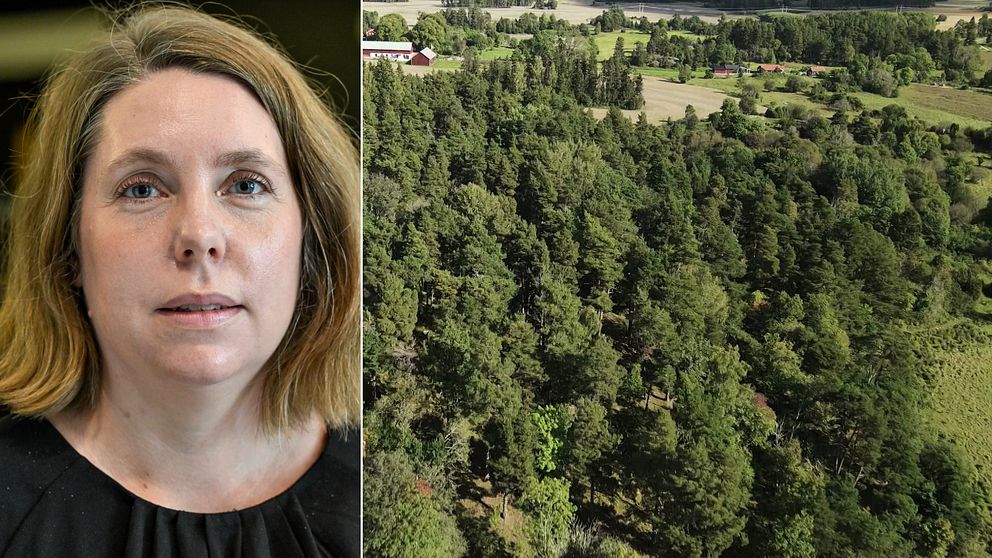 Åklagare Moa Blomqvist och Hjälstaviken