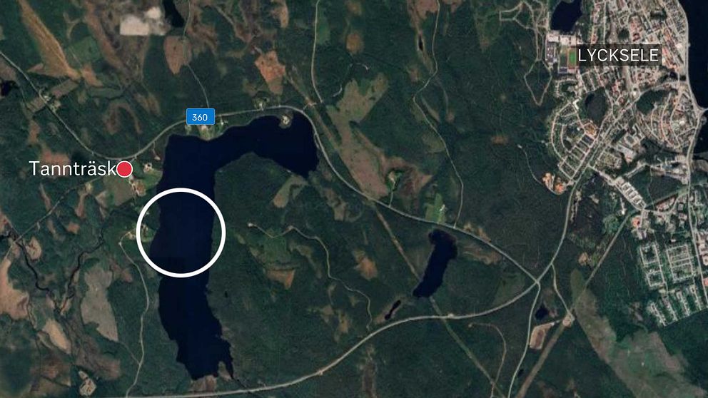Karta med orten Tannträsk, med den ungefärliga olycksplatsen i en vit cirkel. Till höger syns centrala Lycksele.