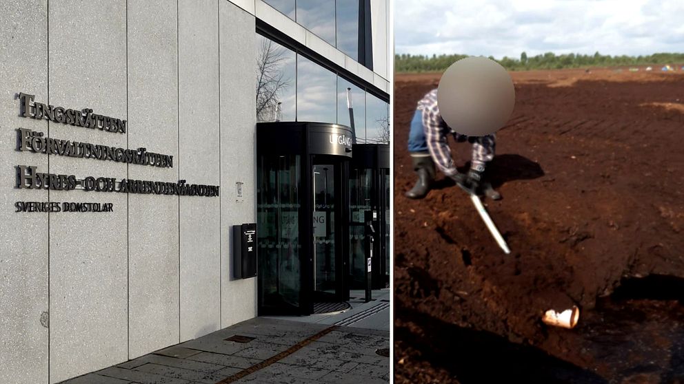 En delad bild som visar två scener. Den vänstra sidan visar en modern byggnad med en glasentré och en vägg med texten ”Tingsrätten”, ”Förvaltningsrätten” och ”Sveriges Domstolar”. Den högra sidan visar en person som gräver i marken, eventuellt i en torvmark, med fokus på en plastbehållare som delvis syns i jorden.