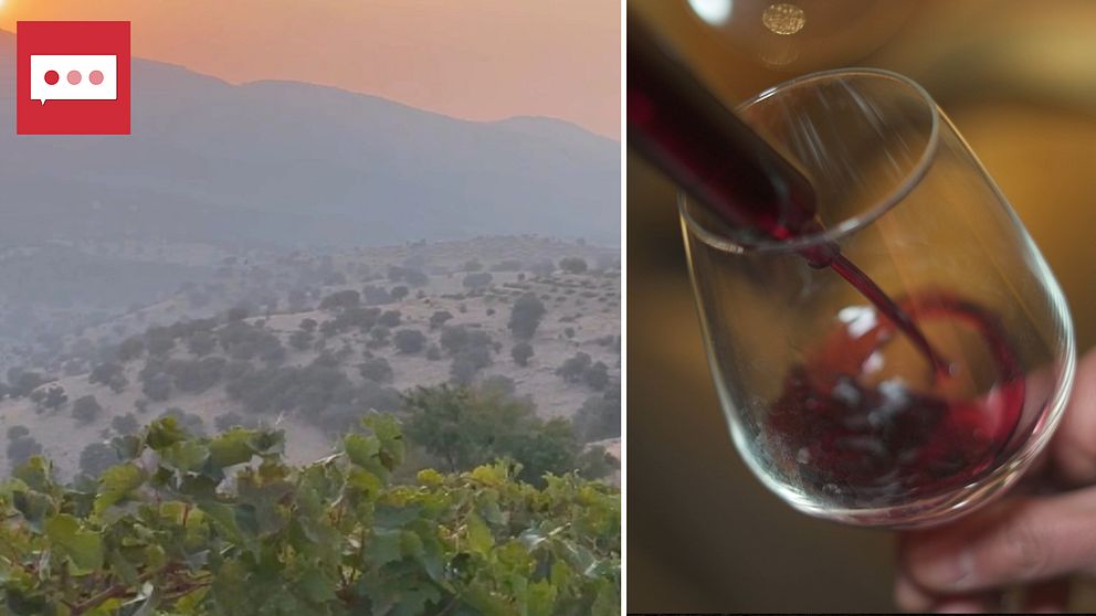 En dal i Iran och ett glas vin