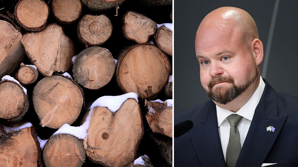Peter Kullgren