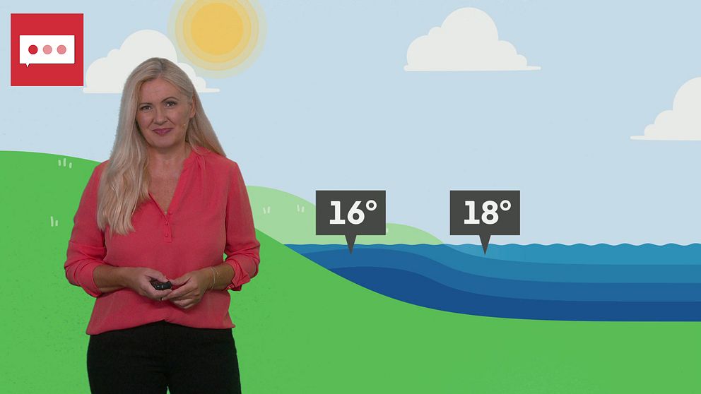 SVT:s meteorolog deana Bajic framför en grafik som förklarar uppvällning